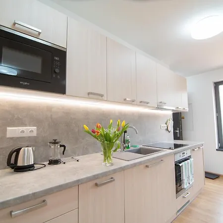 Appartement U Vinare Mikulov